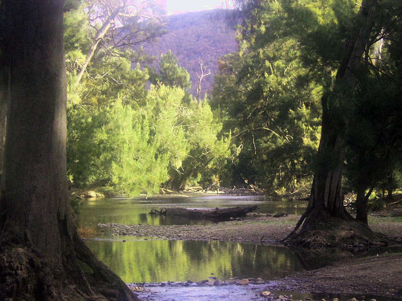View of Goodradigbee River at Billy Grace Reserve