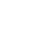 NSW Govenrnment